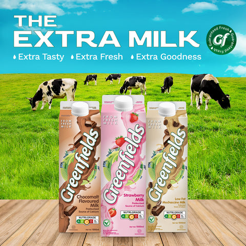 Greenfields ESL MOCHACCINO MILK 1L